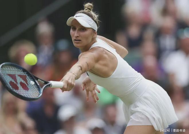 分析比赛中 分析比赛中